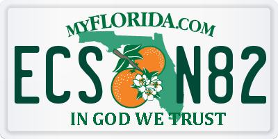 FL license plate ECSN82