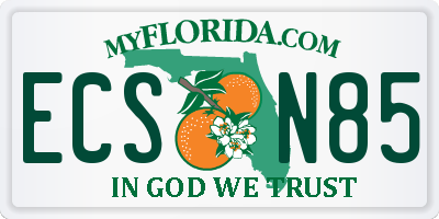 FL license plate ECSN85