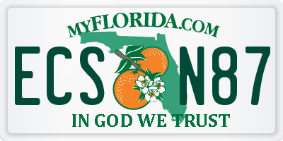 FL license plate ECSN87