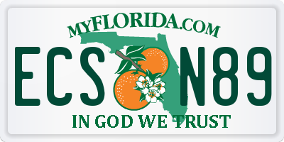 FL license plate ECSN89