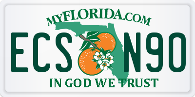 FL license plate ECSN90