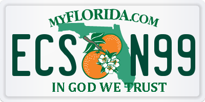 FL license plate ECSN99