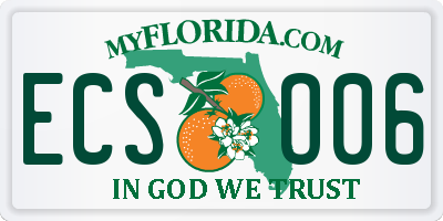 FL license plate ECSO06