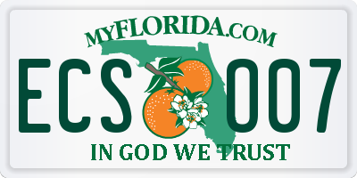FL license plate ECSO07