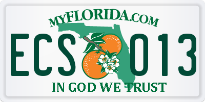 FL license plate ECSO13