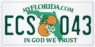 FL license plate ECSO43