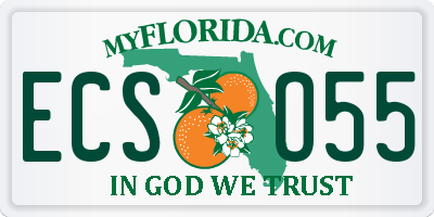 FL license plate ECSO55
