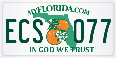 FL license plate ECSO77