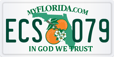 FL license plate ECSO79