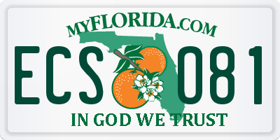 FL license plate ECSO81