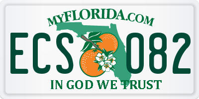 FL license plate ECSO82