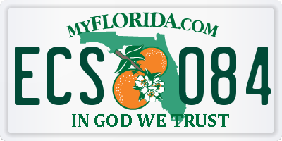 FL license plate ECSO84
