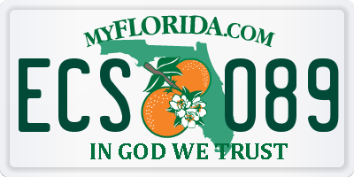 FL license plate ECSO89