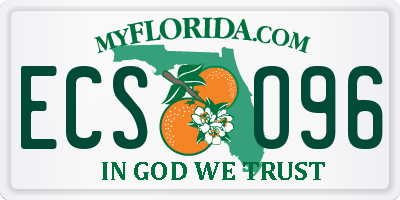 FL license plate ECSO96
