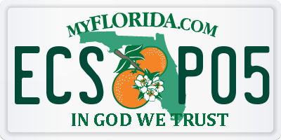 FL license plate ECSP05