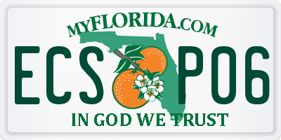 FL license plate ECSP06