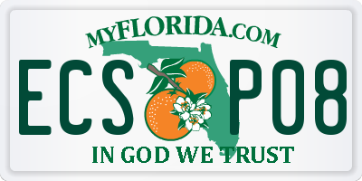 FL license plate ECSP08