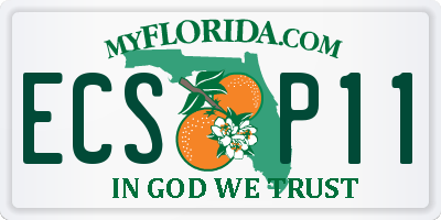FL license plate ECSP11