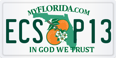FL license plate ECSP13