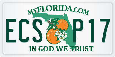 FL license plate ECSP17