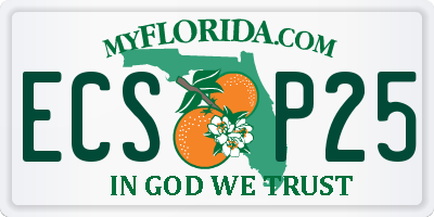 FL license plate ECSP25