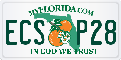 FL license plate ECSP28