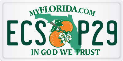 FL license plate ECSP29