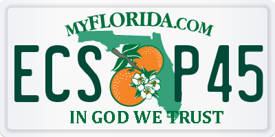FL license plate ECSP45