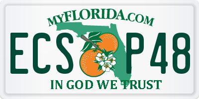 FL license plate ECSP48