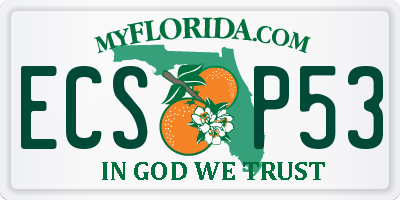 FL license plate ECSP53