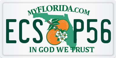 FL license plate ECSP56
