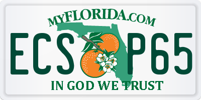 FL license plate ECSP65