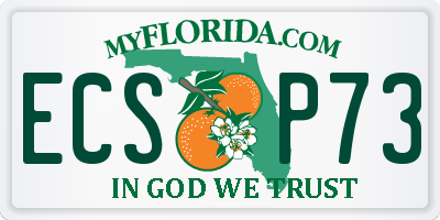 FL license plate ECSP73