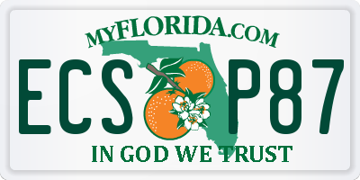 FL license plate ECSP87