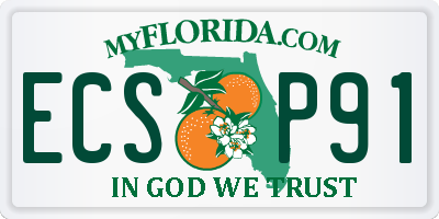 FL license plate ECSP91