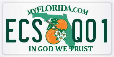 FL license plate ECSQ01