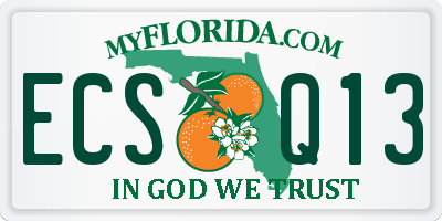 FL license plate ECSQ13