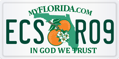 FL license plate ECSR09