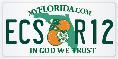 FL license plate ECSR12