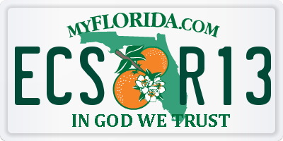 FL license plate ECSR13