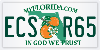 FL license plate ECSR65