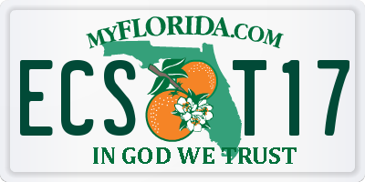 FL license plate ECST17