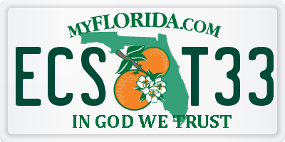 FL license plate ECST33