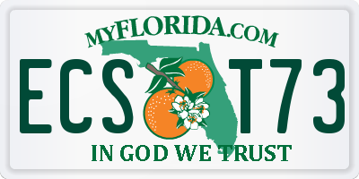 FL license plate ECST73