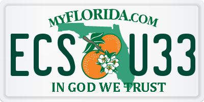 FL license plate ECSU33