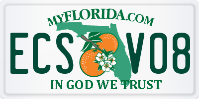 FL license plate ECSV08