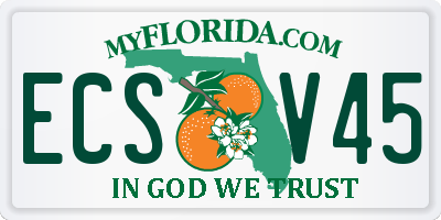 FL license plate ECSV45