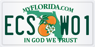 FL license plate ECSW01