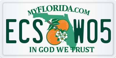 FL license plate ECSW05