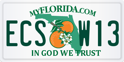 FL license plate ECSW13